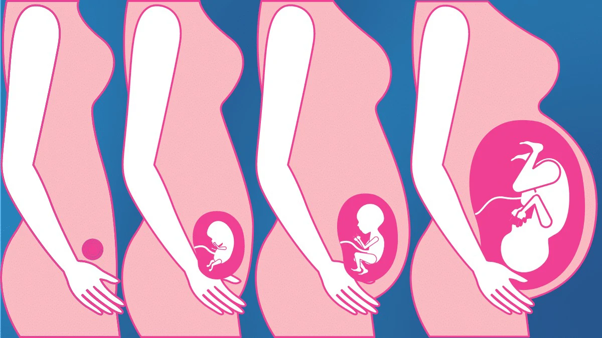 Projeto Maternidade Protegida Vida Abençoada