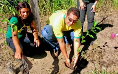 Campanha de Arborização em Margens de BRs